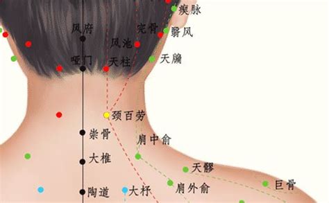 百劳的准确位置图图片 百劳的准确位置图图片