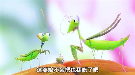 螳螂结婚，公螳螂都会被母螳螂吃掉？不一定_高清1080P在线观看平台_腾讯视频