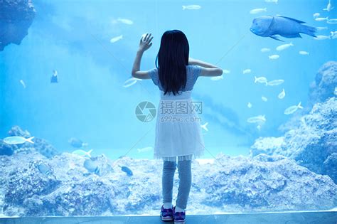 水族馆看鱼的小女孩高清图片下载-正版图片502038254-摄图网