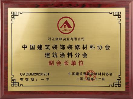 中国建筑装饰装修材料协会副会长单位_巅峰者美缝剂