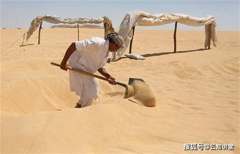 沙漠中的沙子随处可见，我国为什么要从国外进口沙子？|马来西亚|河沙|沙子_新浪新闻