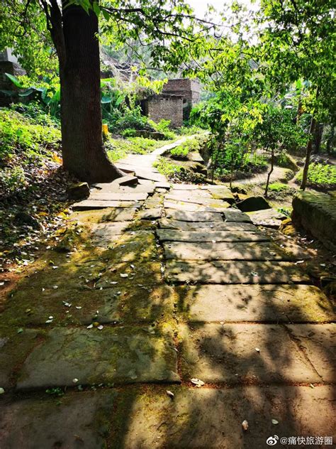 初夏黄昏的凉高山牌坊古道@自贡视窗__财经头条