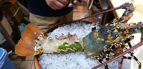 在我国古代被尊为“神虾”的七彩龙虾，如今成为日本餐桌的家常菜