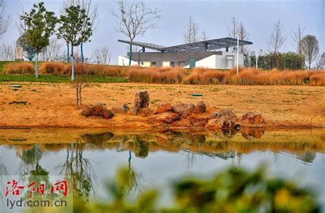 伊滨区控制性详细规划公示_洛阳豫安房地产开发有限公司