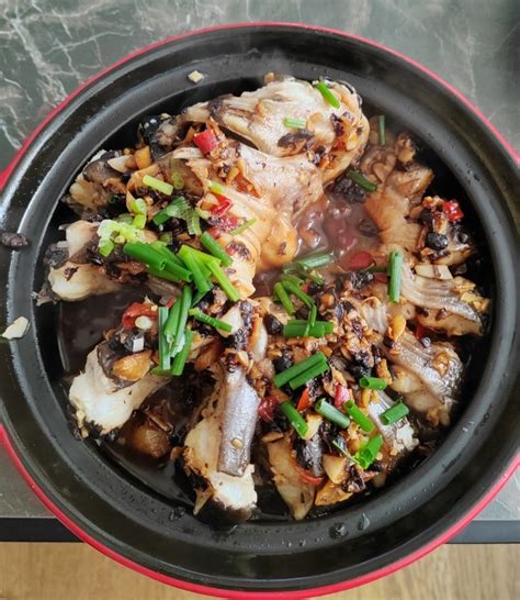 剑骨鱼图片