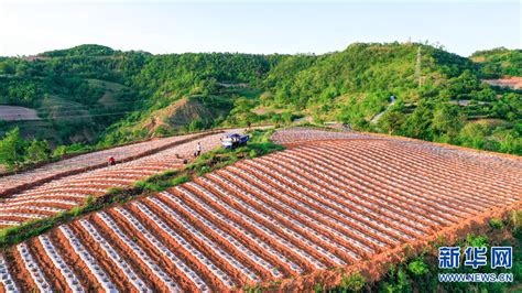 风雨兼程四十载 凝心聚力谱新篇——卢氏县改革开放40周年掠影|卢氏县|卢氏|县城_新浪新闻