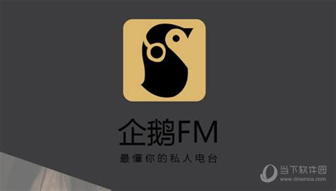 企鹅FM APP怎么用 最新最全问题汇总 - 当下软件园