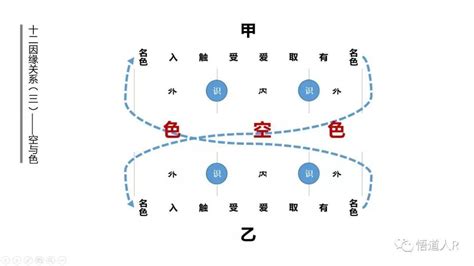 十二因缘图解图片
