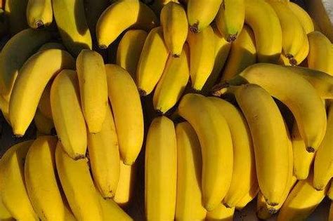 【图】香蕉减肥法真管用 瘦身效果极为佳_香蕉减肥法_伊秀美体网|yxlady.com