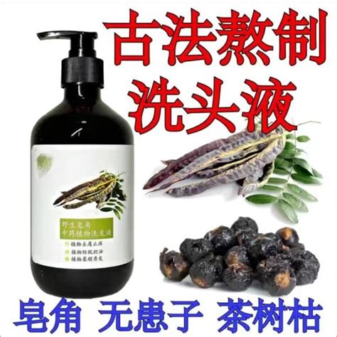 莱斯利·安 的图像结果