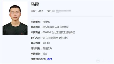 STAP 的图像结果