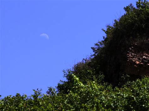 下弦月高清月球（白天的月亮）,宇宙太空,科学技术,摄影,汇图网www.huitu.com