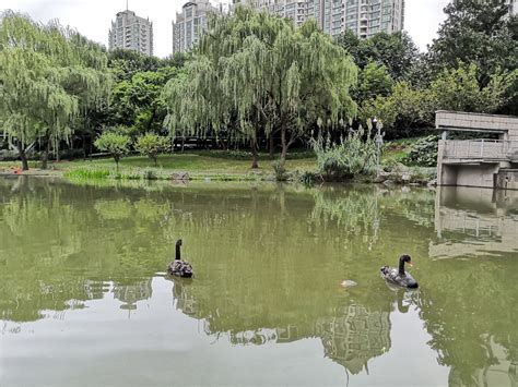 2019徐家汇公园-旅游攻略-门票-地址-问答-游记点评，上海旅游旅游景点推荐-去哪儿攻略