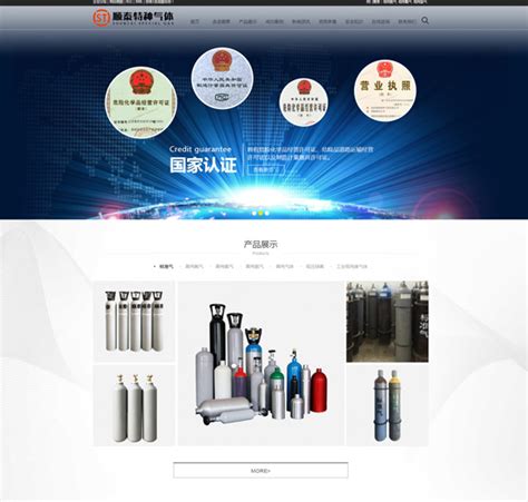 沈阳企业网站设计方案建立一个网站需要建站技术-沈阳德泰诺网络科技公司