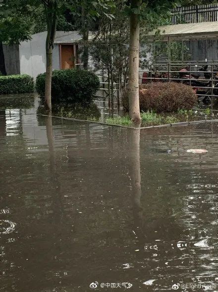 德国暴雨洪水冲塌多所房屋 已致5死30人失踪_手机新浪网