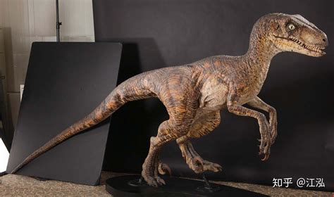 现实中哪种恐龙最符合《侏罗纪公园》《侏罗纪世界》中的迅猛龙形象？ - 知乎