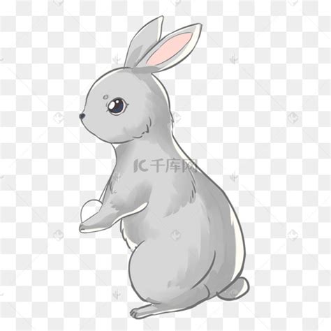 灰兔荒野白色乐趣动物哺乳动物毛皮灰色宠物农业耳朵高清图片下载-正版图片321805626-摄图网