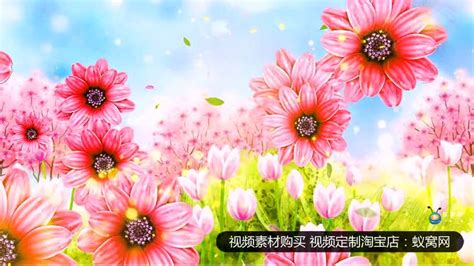 1326 春暖花开 歌曲配乐成品 MV_腾讯视频