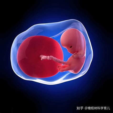 第一胎胎停后，第二胎可以正常怀孕吗？ - 知乎