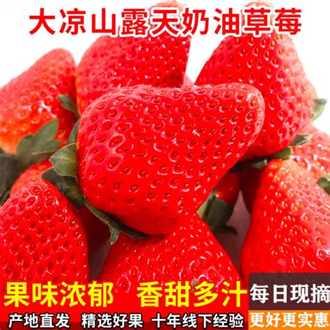 中华樱桃产地价翻五倍 新电商为凉山水果提供销售新思路