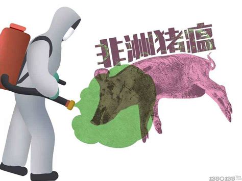 非洲猪瘟的科学防控——构建适合自己猪场的“绿叶防瘟墙”_养猪场_中国保健养猪网