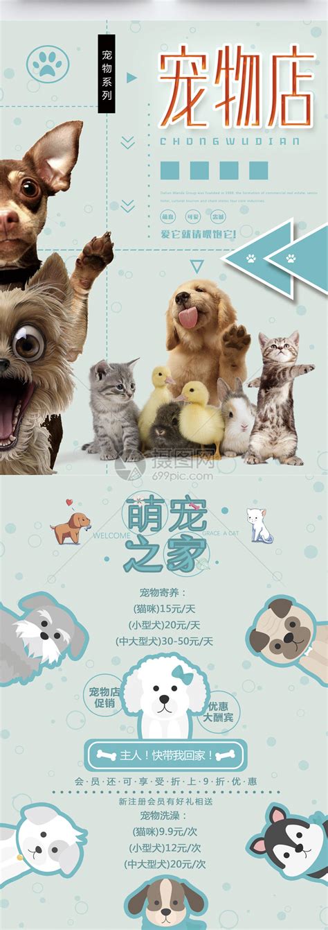 可爱宠物店宣传海报-图小白