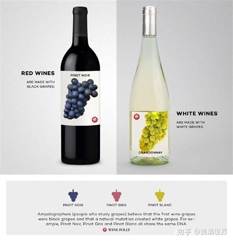 葡萄酒鉴别：读懂这9张图，从葡萄酒“砖家”变“专家”【酒文化】_风尚中国网 -时尚奢侈品新媒体平台
