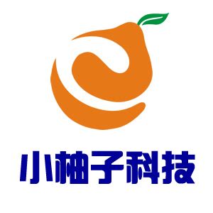 王磊 - 西安小柚子网络科技有限公司 - 法定代表人/高管/股东 - 爱企查
