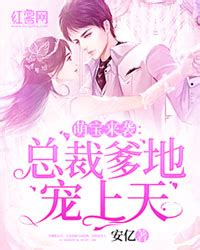 陆司明夏安然的小说《天降宝贝：总裁爹地宠上天》 第11章 - 笔趣阁好书网