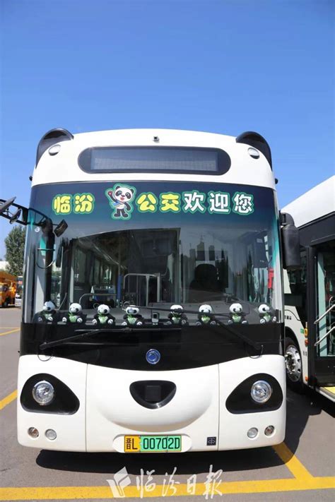 首批“熊猫公交车”临汾上岗，快看有啥特别→_澎湃号·媒体_澎湃新闻-The Paper
