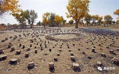 新疆古楼兰人是月氏人，墓地被称作太阳墓葬，崇拜神秘数字“7”|墓葬|太阳|楼兰_新浪新闻