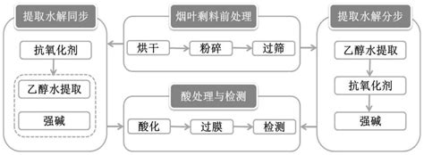 阿列克谢塞尔 的图像结果