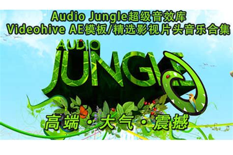 Audio Jungle超级配乐库 - 设计秀-设计师工具箱-免费下载网站