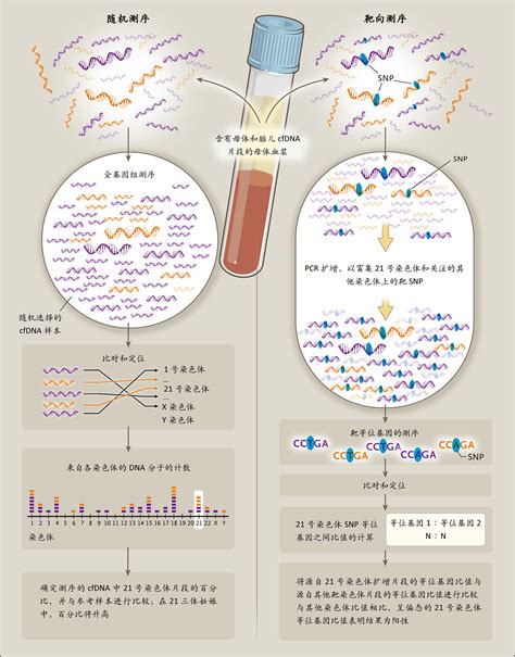 科学网—Immunity：免疫学大咖Rodewald团队首次揭示肥大细胞独特的蛋白组表达特征 - 卜晨的博文