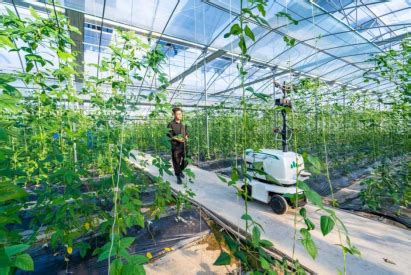 全省首批第一批“未来农场” 农业特色型美丽广陈发展又有新亮点