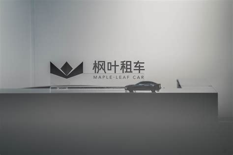 出租车品牌标志大全-广州知名企业出租车品牌标志大全公司-三文品牌