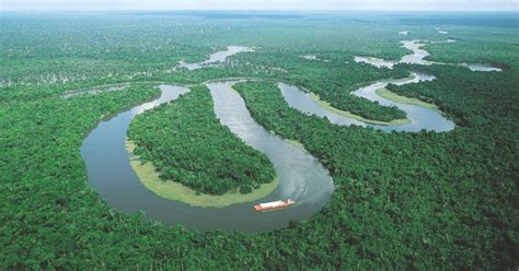 游览 南美 巴西 玛瑙斯 两河交汇处 内格罗河和亚马逊河交汇于此|马瑙斯|内格罗河|玛瑙斯_新浪新闻