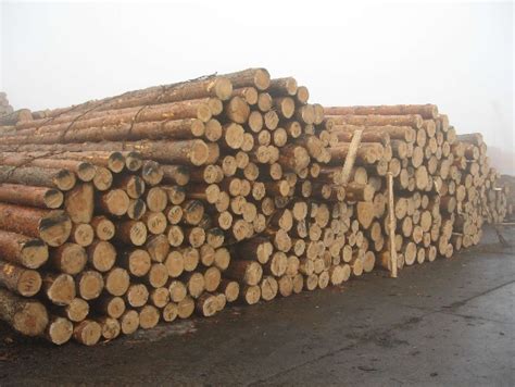 2020年1-11月我国木材行业市场价格指数回升 原木及进口木材增幅明显 - 观研报告网
