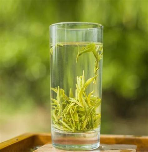 【茶叶茶】茶叶茶怎么喝_茶叶茶有什么功效与好处_绿茶说
