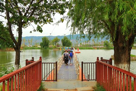 曲靖·西河湿地公园（云南避暑游）-中关村在线摄影论坛