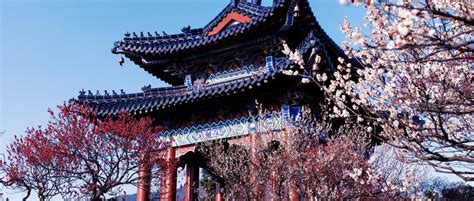 南京14大春游好去处 一定有你想去的地方- 南京本地宝