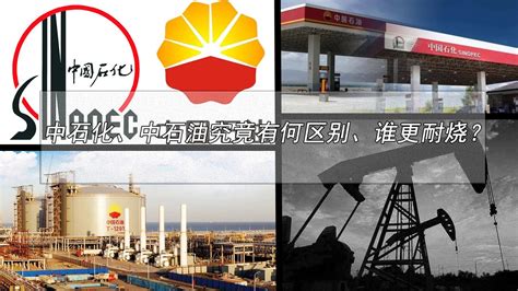 中石化再造中科合作典范 - 中国石油石化网