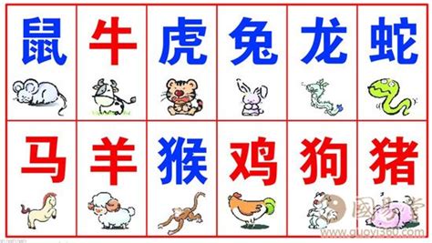 十二生肖排序表图图片 十二生肖排序表图图片