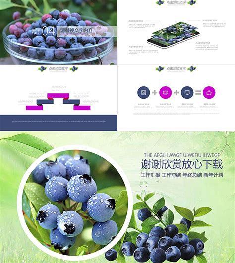 清新简约创意农产品水果蓝莓产品宣传通用PPT模板-PPT牛模板网