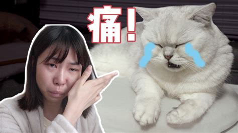 小奶猫去医院，医生哄着它打针，被扎后一脸懵！_凤凰网视频_凤凰网