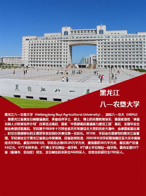 2022年职教周 | 黑龙江农垦职业学院海报设计（2）-黑龙江农垦职业学院