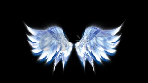 有翅膀的美丽天使图片-有翅膀的美丽天使矢量素材-高清图片-摄影照片-寻图免费打包下载