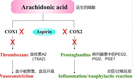 阿司匹林的合成反应机理