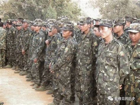 缅甸有135个民族，巅峰时期29支民族武装，如今还剩多少？_掸邦