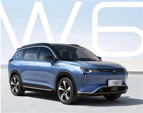 威马汽车品牌正式发布 首款纯电动SUV亮相 - EV视界